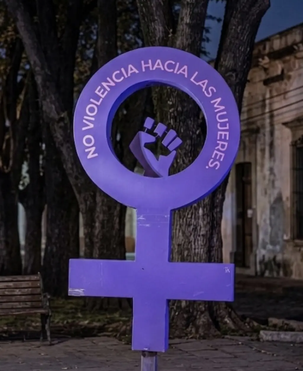Zonas Violeta San Luis de la Paz